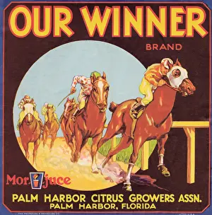 Florida Prints: Our Winner Brand