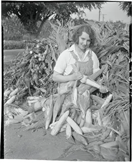 Pomona Prints: Winning Farmette Stripping Corn