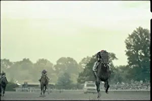 Fast Prints: Winning Horse Charging Toward Finish Line