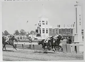 Winning Horses Crossing Finish Line of 1959 Kentucky Derby