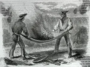 Winnowing Gold, Near Chinese Camp