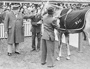 Winston Churchill Patting Horse