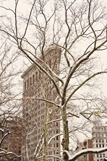winter, architecture, monument, tree, urban scene, building exterior, new york city