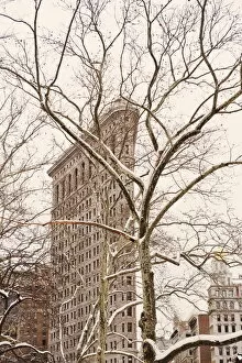 Park Gallery: winter, architecture, monument, tree, urban scene, building exterior, new york city