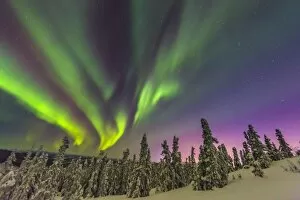 Images Dated 12th March 2015: Winter Aurora display
