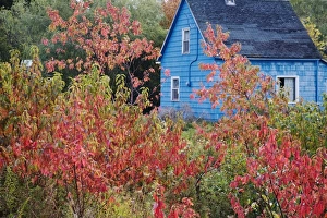 David Henderson Photography Gallery: Winter Bay, Prince Edward Island