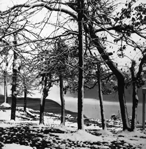 T Usa Niagara Falls Photos Prints: Winter Falls