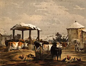 Farmyard Prints: Winter Feed