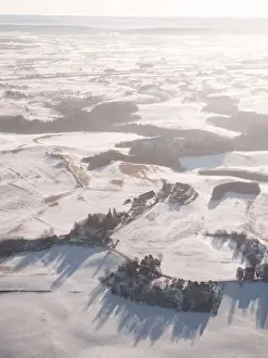 Winter landscape