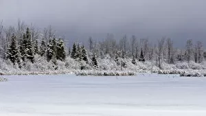 Images Dated 23rd December 2011: Winter landscape