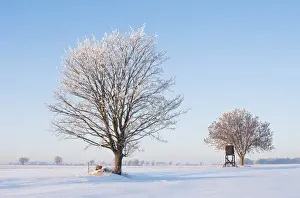 Idyll Prints: Winter landscape, Lower Saxony, Germany, Europe
