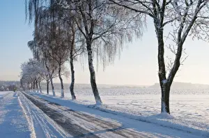 Idyll Prints: Winter landscape, Lower Saxony, Germany, Europe