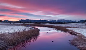 Frost Collection: Winter light