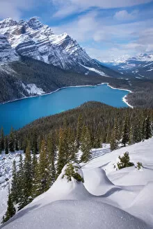 Images Dated 5th October 2018: Winter Peyto Lake, AB, Canada