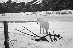 Lakeshore Prints: Winter Plough
