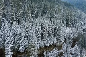 Season Gallery: Winter Scene on Eagle Creek Hiking Trail