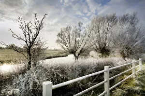 Images Dated 12th December 2012: Winter scene at headwaters of River Thames