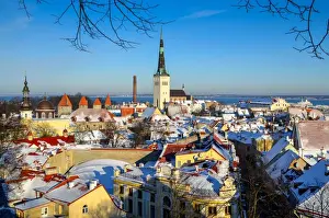 Estonia Prints: Winter in Tallinn