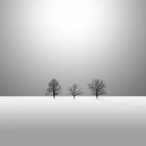 Winter trees