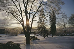Images Dated 17th March 2010: Wintry Scene