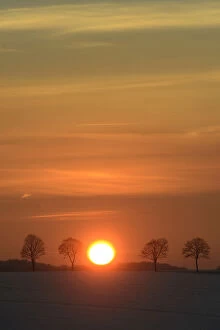 Wintry sunset, Kurten-Spitze, North Rhine-Westphalia, Germany
