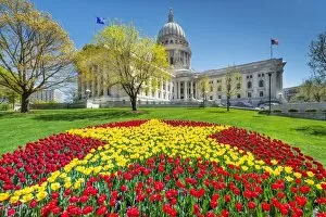 Town Hall Gallery: Wisconsin State Capitol - Capital in Spring