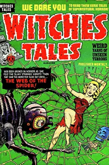 Spiderweb Prints: Witches Tales #12 The Web of the Spider!