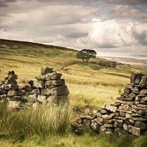 Images Dated 29th July 2015: Top Withens on the Bronte Moors