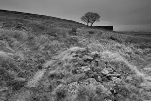 Top Withens, a ruined farmhouse near to Haworth in West Yorkshire, is reputed to be the inspiration for Wuthering Heights by Emily Bronte