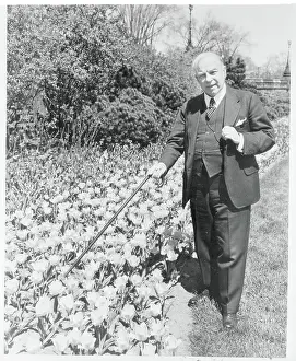 Ottawa Prints: W.L. Mackenzie King Posing Next to Tulip Bed