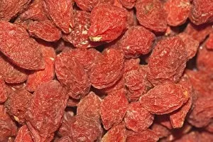 Wolfberries or Goji Berries -Lycium barbarum-, part of Chinese cuisine and traditional Chinese medicine