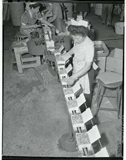 Woman Adjusting Boxes of Vegetables on Production Line