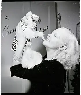 Zebra Prints: Woman Admires Poodle In Designer Suit