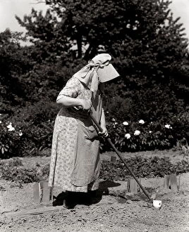 Archive Gallery: Woman In Bonnet Hoeing In Garden