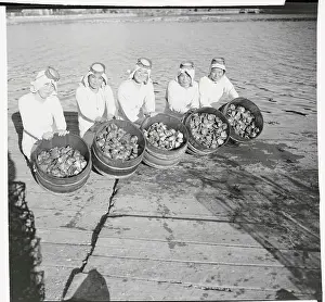 Mollusk Prints: Woman Divers Showing Their Baskets of Oysters