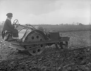 Plough Prints: Woman Driver