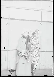 Hugging Prints: Woman Feeding Circus Zebra