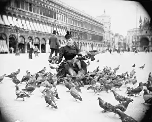 Town Scene Prints: Woman Feeding Pigeons