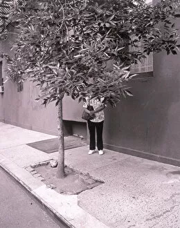 Henri Silberman Collection Gallery: Woman hiding behind tree