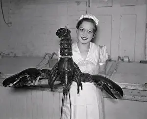Lobster Prints: Woman Holding Large Lobster