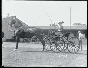 Long Branch Prints: Woman in Horsedriven Buggy