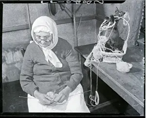 Headscarf Prints: Woman Knitting With Cat