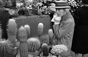 Exhibitions And Displays Prints: Cacti