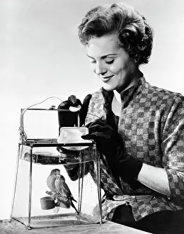 Woman With Parakeet In Clear Handbag