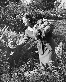 25 30 Years Prints: Woman picking flowers in garden, (B&W)