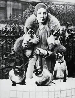 Victory Prints: Woman With Prize Winning Siamese Cats