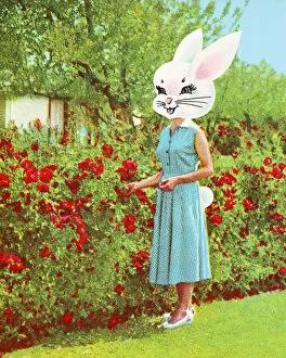 Apparel Collection: Woman with a Rabbit Head Near a Rose Bush