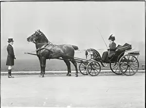 Newport Prints: Woman Riding in Horse Drawn Carriage
