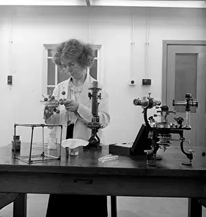 Scientific Prints: Woman Scientist
