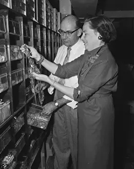 Salesperson Prints: Woman Shopping for Wholesale Jewelry